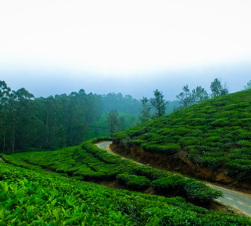 3Days Budget Meghalaya Tour