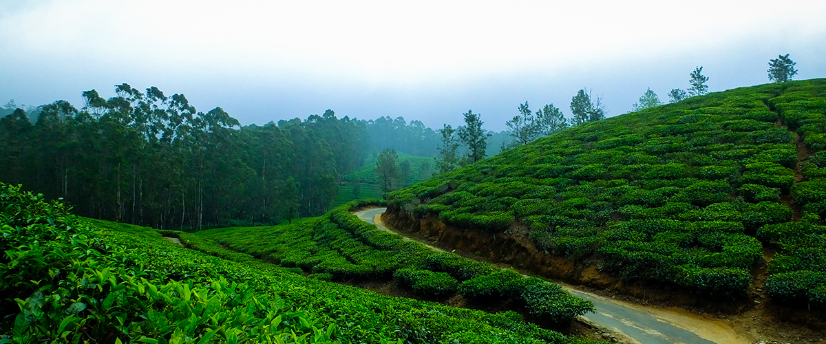 3Days Budget Meghalaya Tour